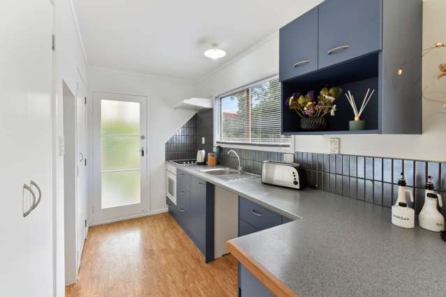 Two Bedroom on the border of Mt Wellington/Ell...