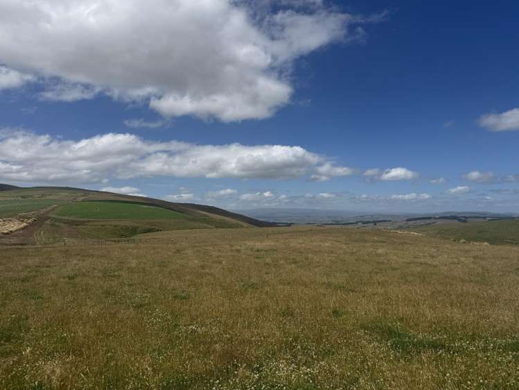 980 Moa Flat Road Moa Flat_21