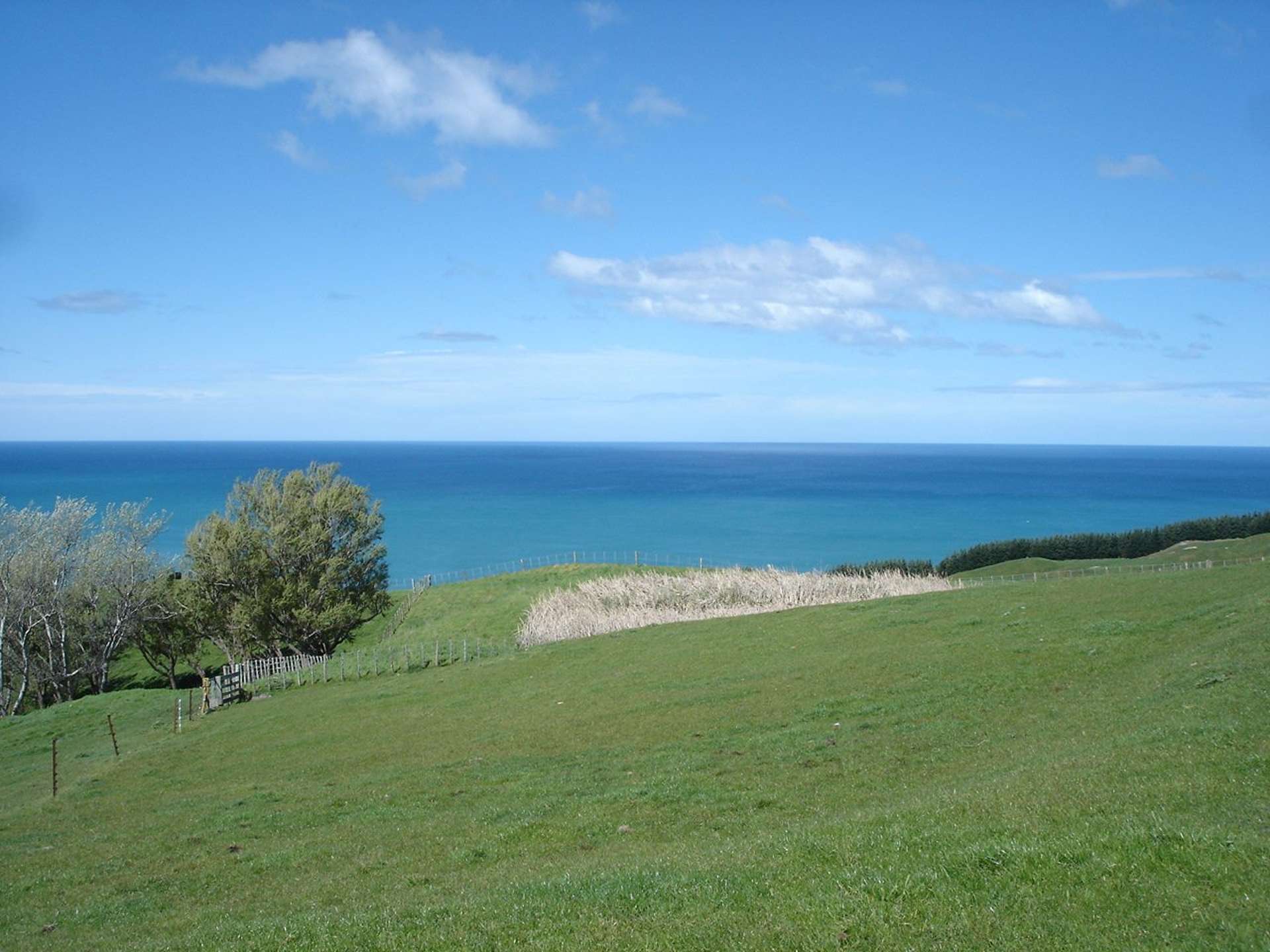 Te Apiti Road Waimarama_0