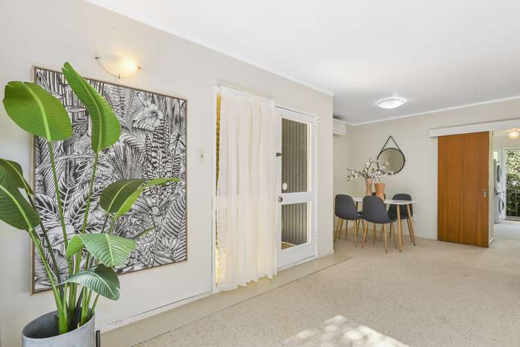 2/16 Rangitoto Terrace Milford_6