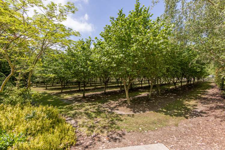 196 Tram Road Clarkville_23