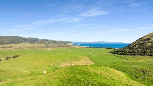 550 Black Jack Road Opito Bay_3