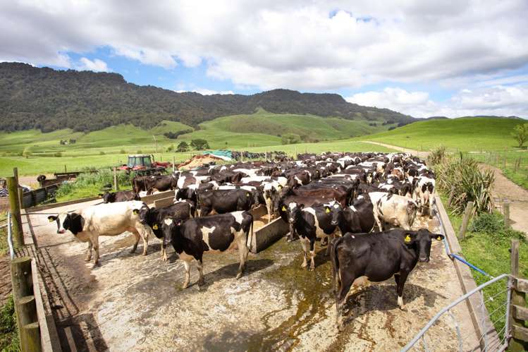 109B Te Tuhi Road, Okauia Matamata_9