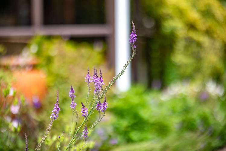 2 Heron Court Te Kowhai_27