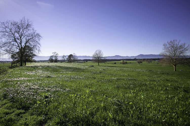 224 Maungakawa Road Ngarua_1