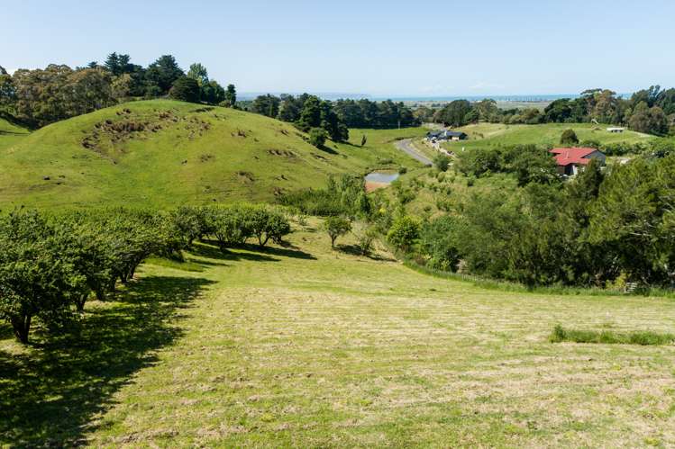 Lot 2/226 Puketitiri Road Poraiti_12