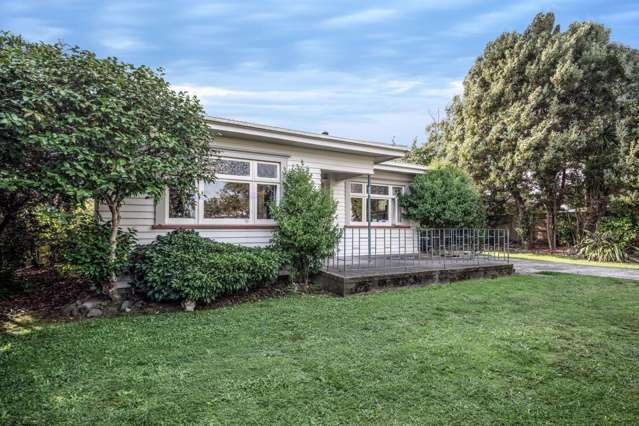 15 Dahlia St, Palmerston North Central