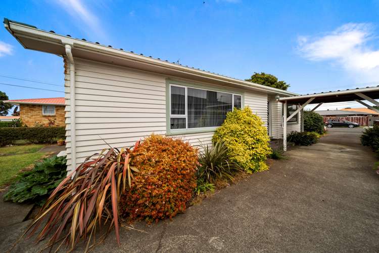 240 Omata Road Spotswood_8