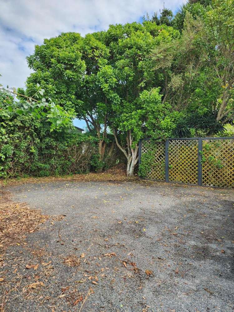 1138 South Road Oakura_25