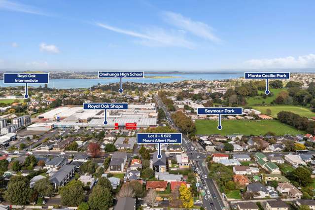 672C Mt Albert Road Royal Oak_3
