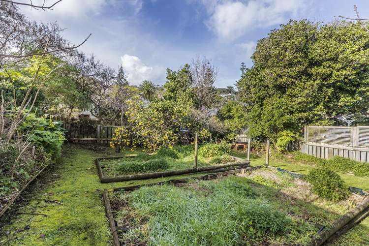 12 Weka Street Miramar_15