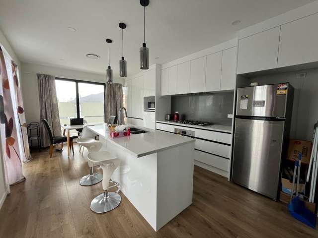 1/245 Campbell Road Greenlane_1