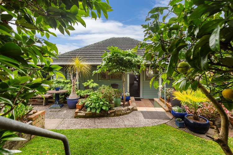 23a Martin Avenue Mount Albert_23