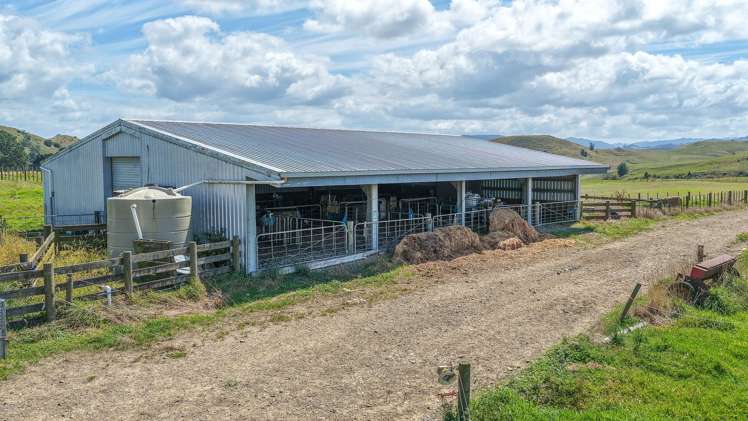 528 Monument Road Maramarua_21