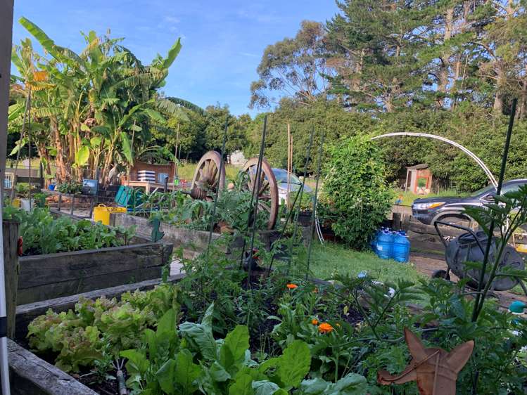 880 South Head Road South Head_10