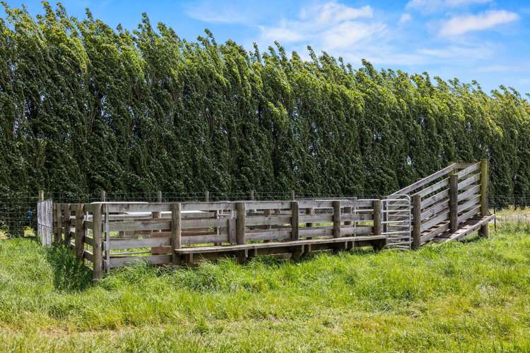 114 Raddens Road Ohoka_36