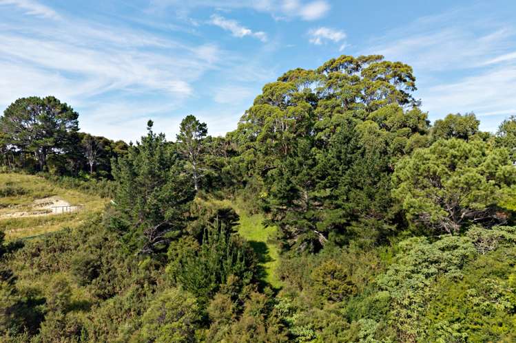248 Albany Heights Road_5