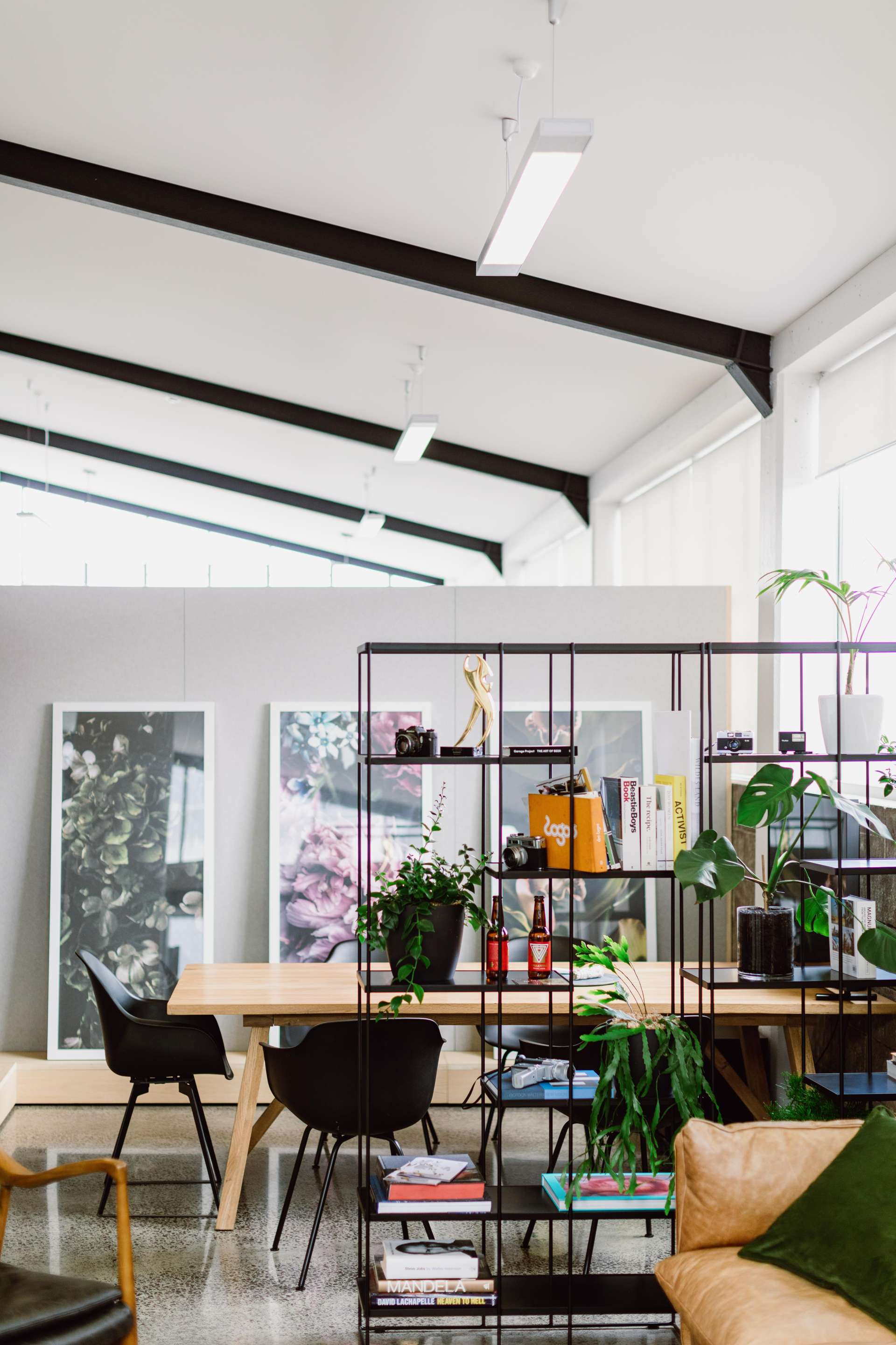 10 Burns Street Grey Lynn_0