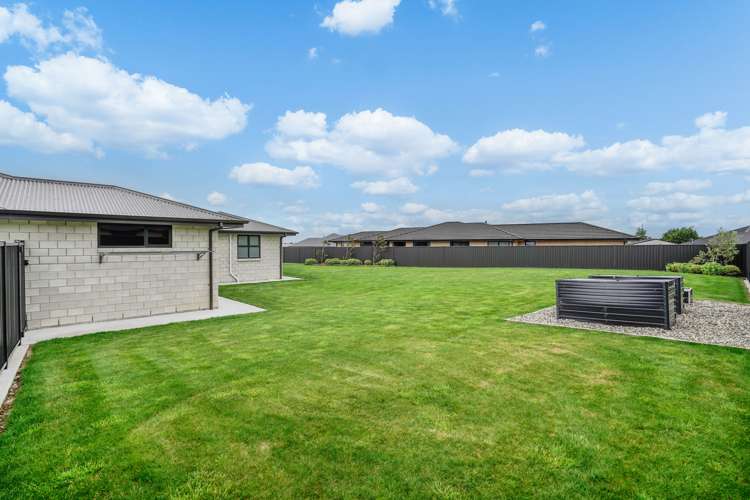 15 Chatham Rise Seaward Bush_22