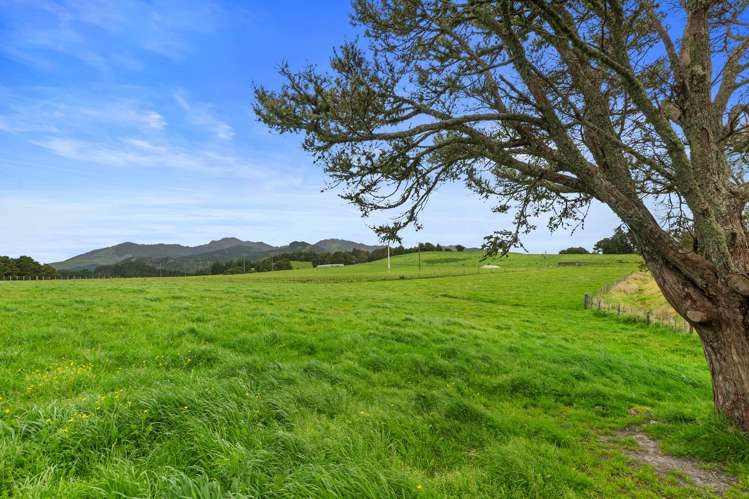 Pukehuia Road Tangiteroria_1