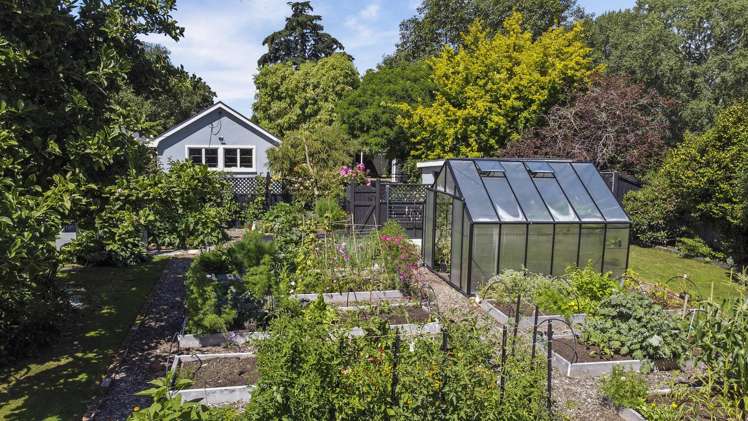 113 Temuka-Orari Highway Winchester_25