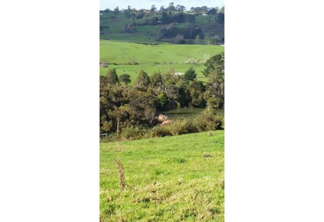 462 Kahikatea Flat Road Waitoki_3