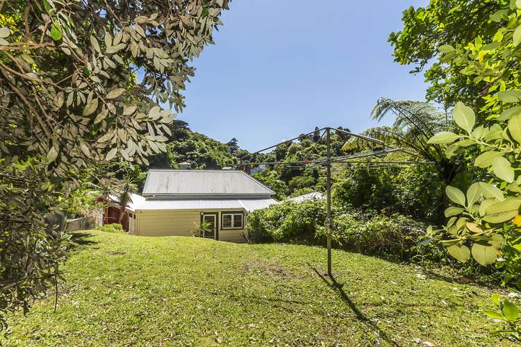 211 Aro Street Aro Valley_7