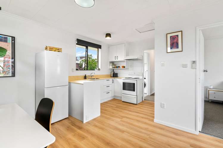 227E Oxford Street South Dunedin_14