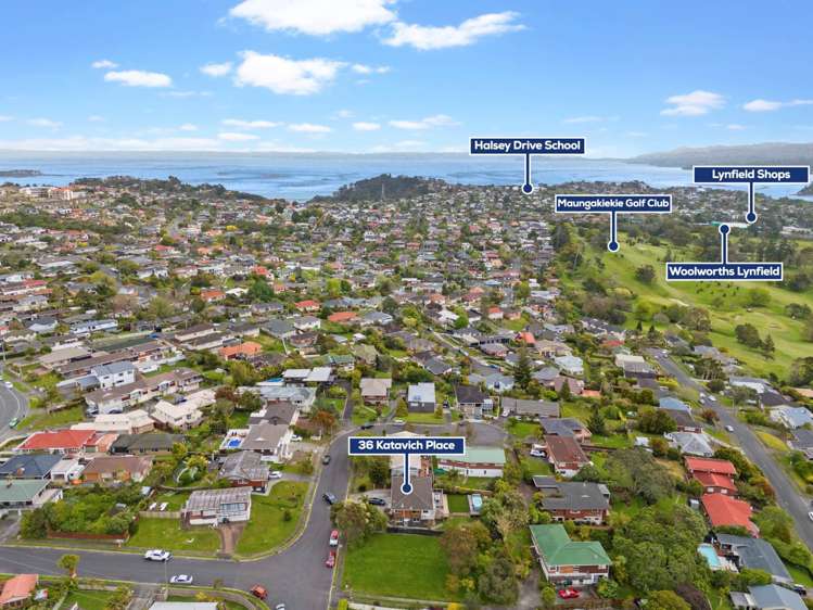 36 Katavich Place Mt Roskill_18