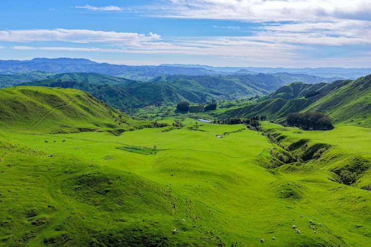 439 Rakauroa Road Matawai_19