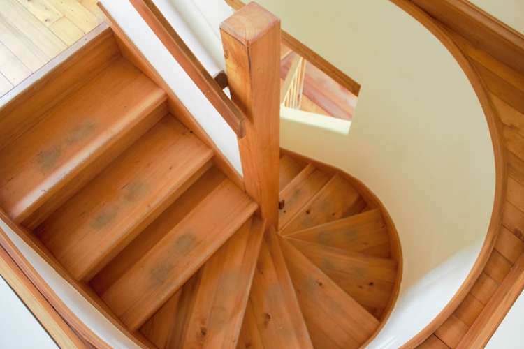 538 Kowai Road Springfield_12