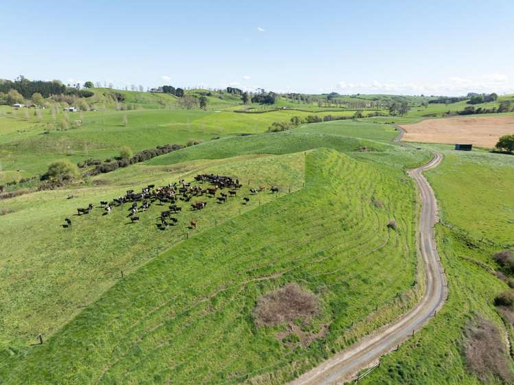 231A Morgan Road Matamata_22