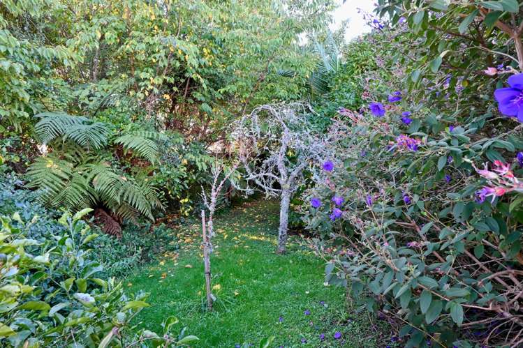 121 Brougham Street Westport_18