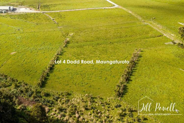 Lots/2, 4, 5 Dodd Road Maungaturoto_2