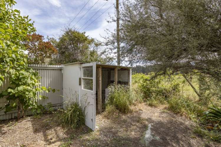 40 Grierson Avenue Amberley_12