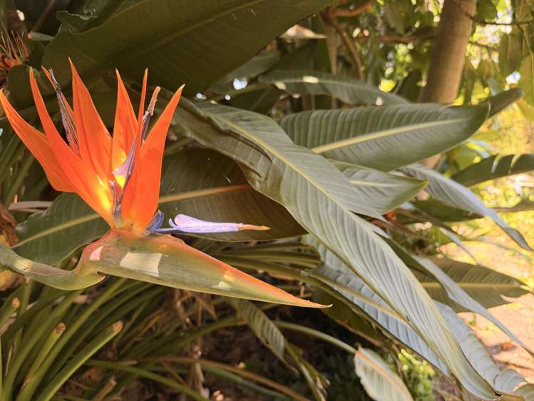 42 Tasman Heights Ahipara_22