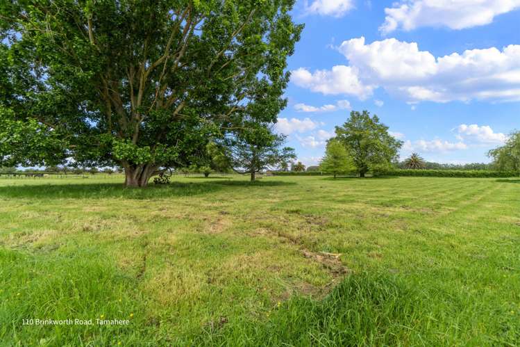 164 Lee Martin Road_5