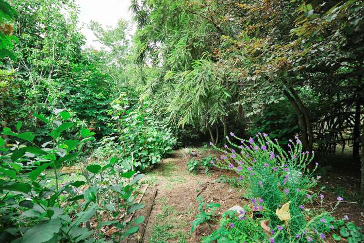 17 Ariki Avenue Otatara_29