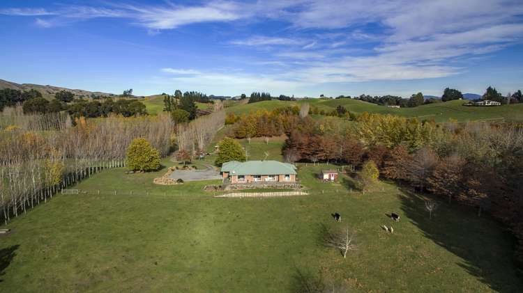 149 Parnassus Road Cheviot_16