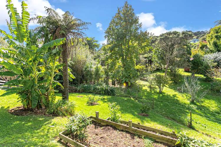 335 Edward Street Coromandel_5