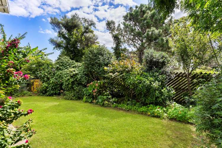 356 Shelly Beach Road South Head_7