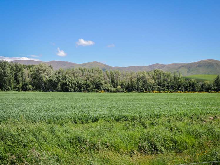 Hamilton Road Fairlie_10