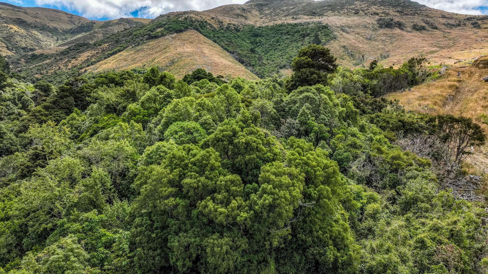 1467 Western Valley Road Port Levy_0