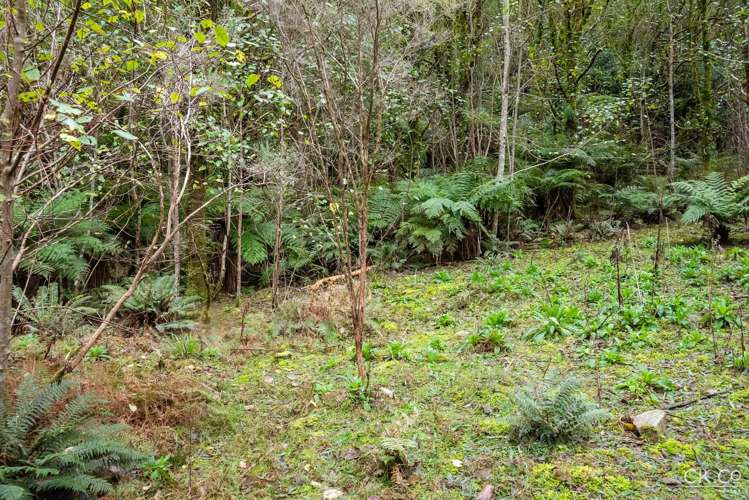 Zero Akatarawa Road Brown Owl_16