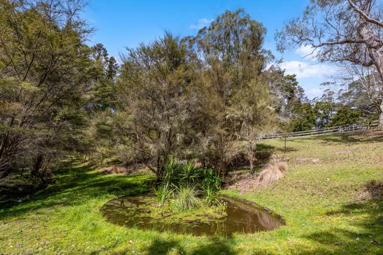25 Wayby Station Road Wellsford_30