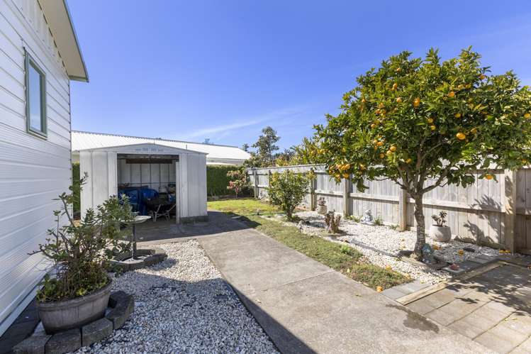 8 Raleigh Street Vogeltown_32