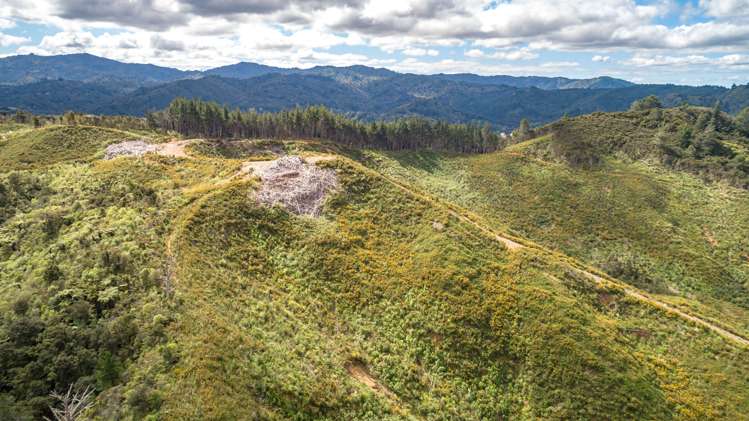 270 Kaimarama Road Kaimarama_10