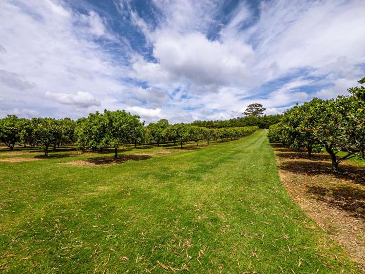 174 Puketotara Road Kerikeri_22