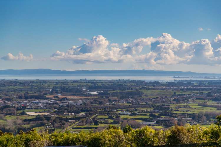 347 Macwhinney Drive Drury_17