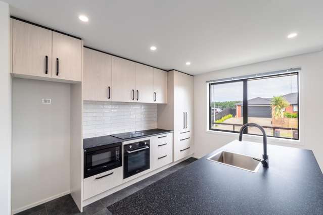 97 Hoffman Court Waikiwi_2